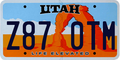 UT license plate Z870TM