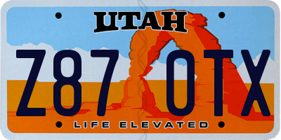 UT license plate Z870TX