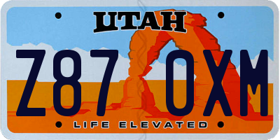 UT license plate Z870XM