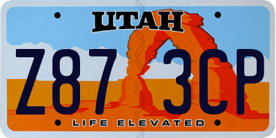 UT license plate Z873CP