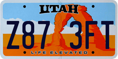 UT license plate Z873FT
