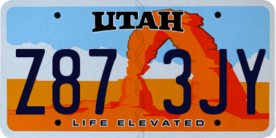 UT license plate Z873JY