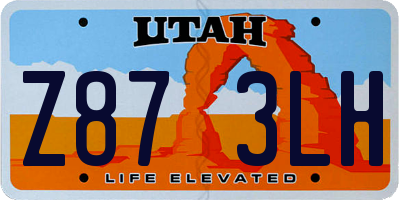 UT license plate Z873LH
