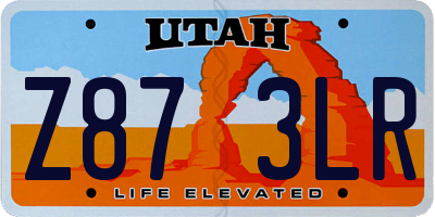 UT license plate Z873LR