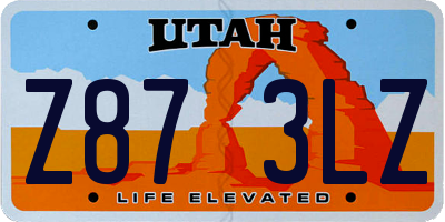 UT license plate Z873LZ