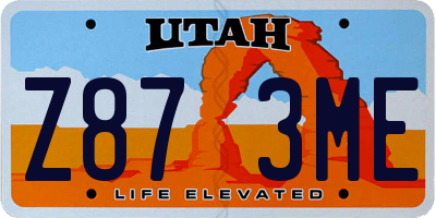 UT license plate Z873ME