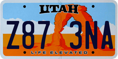 UT license plate Z873NA
