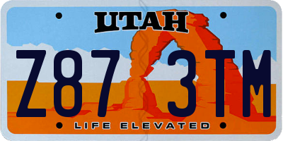 UT license plate Z873TM