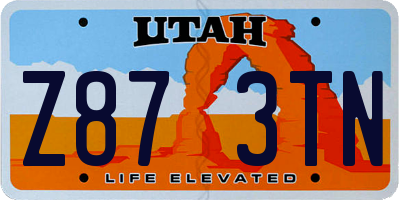 UT license plate Z873TN