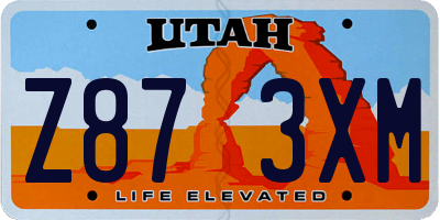 UT license plate Z873XM