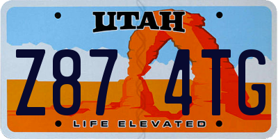 UT license plate Z874TG