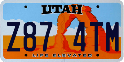 UT license plate Z874TM