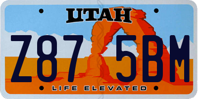 UT license plate Z875BM