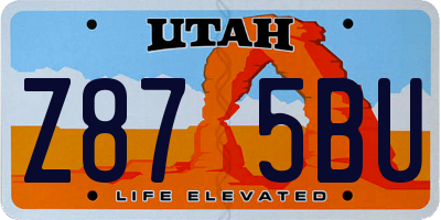 UT license plate Z875BU