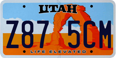 UT license plate Z875CM