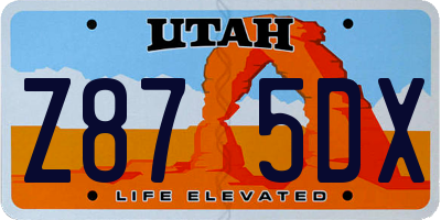 UT license plate Z875DX