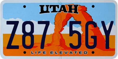 UT license plate Z875GY