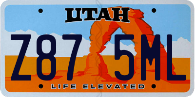 UT license plate Z875ML