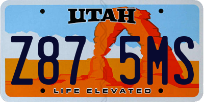 UT license plate Z875MS