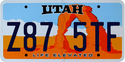 UT license plate Z875TF