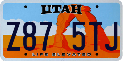 UT license plate Z875TJ