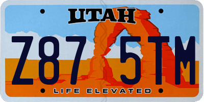 UT license plate Z875TM