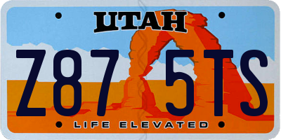 UT license plate Z875TS