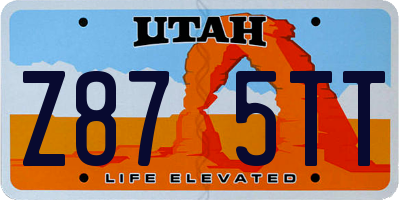 UT license plate Z875TT