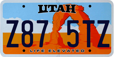 UT license plate Z875TZ