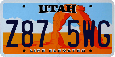 UT license plate Z875WG