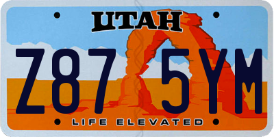UT license plate Z875YM