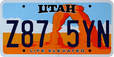 UT license plate Z875YN
