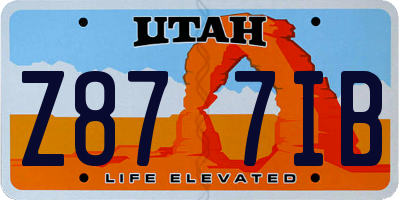 UT license plate Z877IB