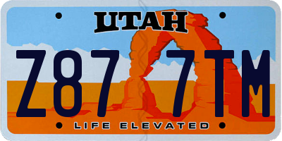 UT license plate Z877TM