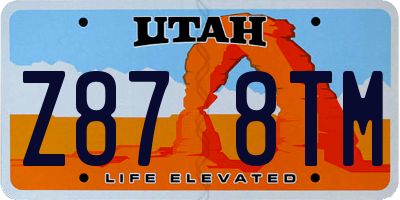 UT license plate Z878TM