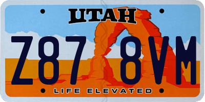 UT license plate Z878VM