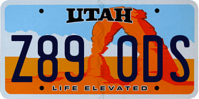 UT license plate Z890DS