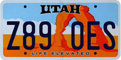 UT license plate Z890ES