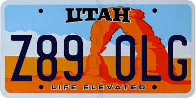 UT license plate Z890LG