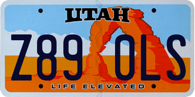 UT license plate Z890LS