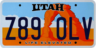 UT license plate Z890LV