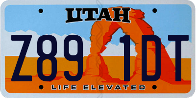 UT license plate Z891DT