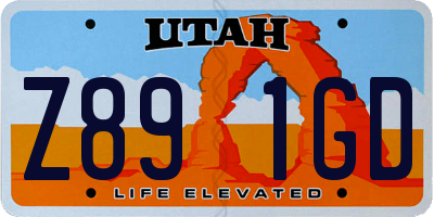 UT license plate Z891GD