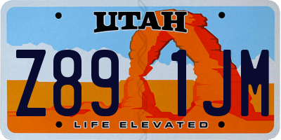 UT license plate Z891JM
