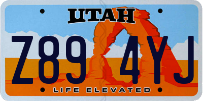 UT license plate Z894YJ