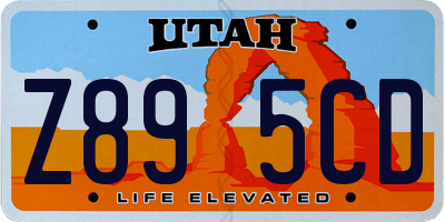 UT license plate Z895CD