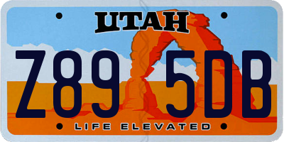 UT license plate Z895DB