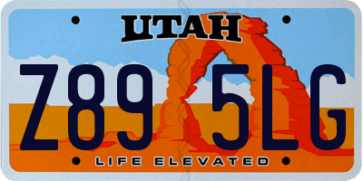 UT license plate Z895LG