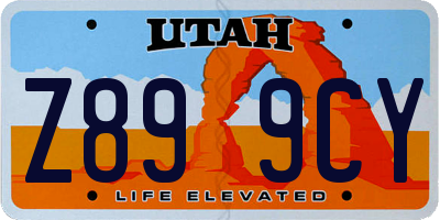 UT license plate Z899CY