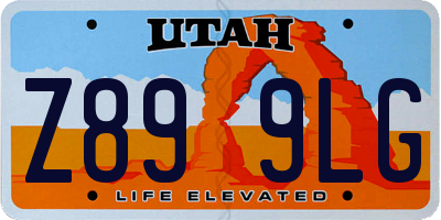UT license plate Z899LG